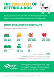 How Much Does Owning a Dog Cost 